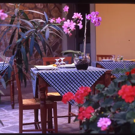 Hotell Cesi & 4*