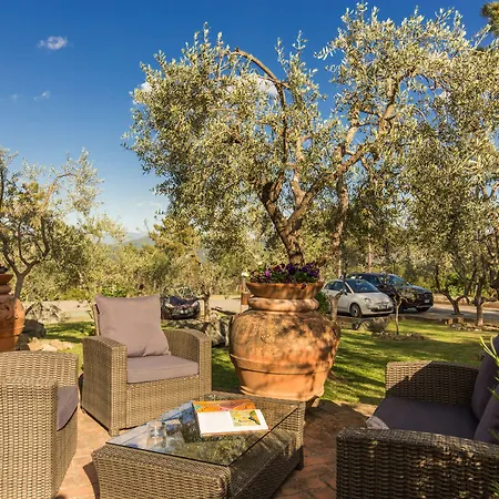Hotel Cesi & 4*
