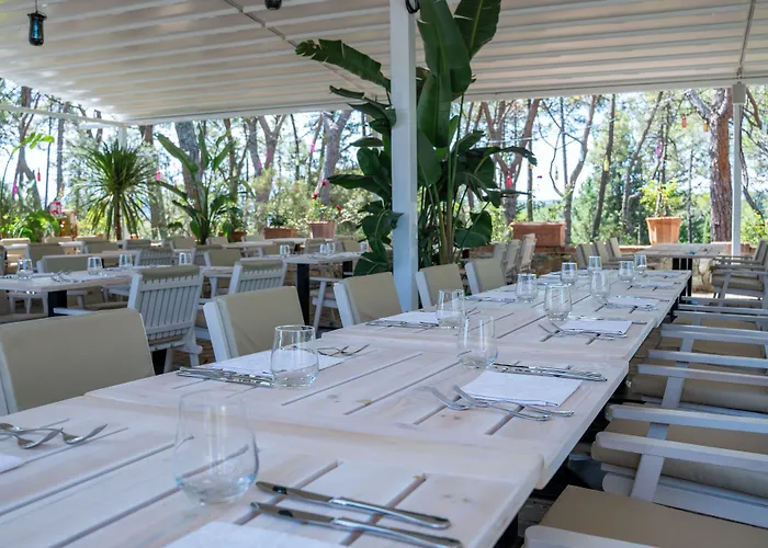 Cesi & Hotel 4*